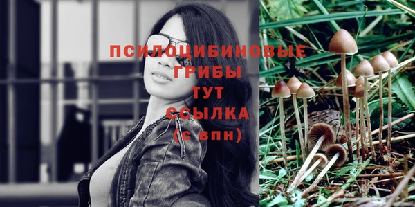 винт Ладушкин