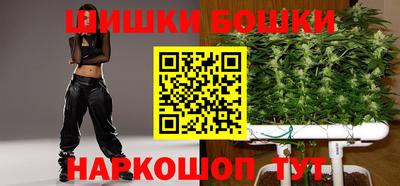 МДПВ Гатчина