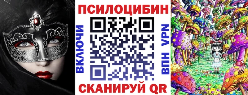 Псилоцибиновые грибы Psilocybine cubensis  Новошахтинск 