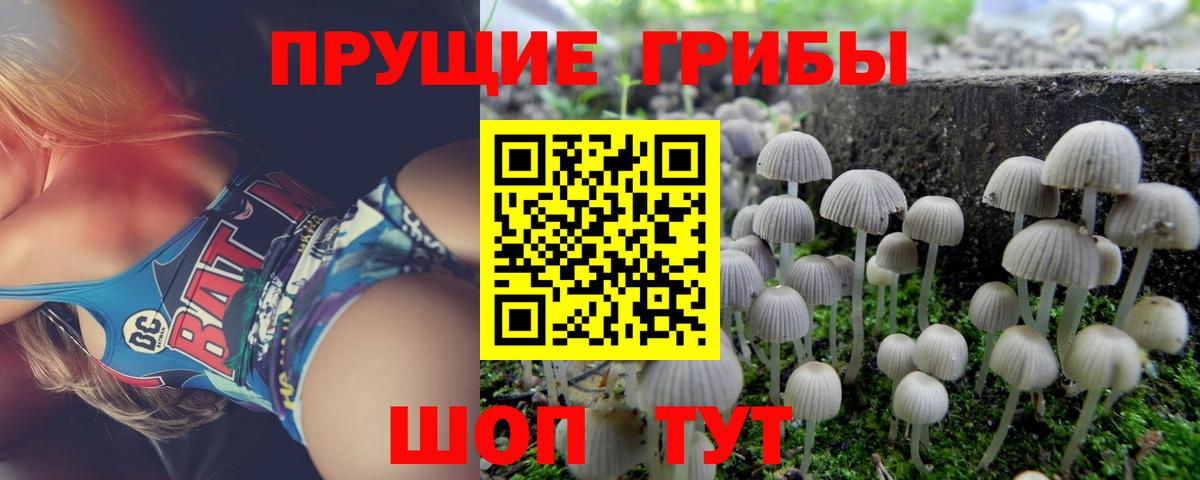 Псилоцибиновые грибы мухоморы Новошахтинск